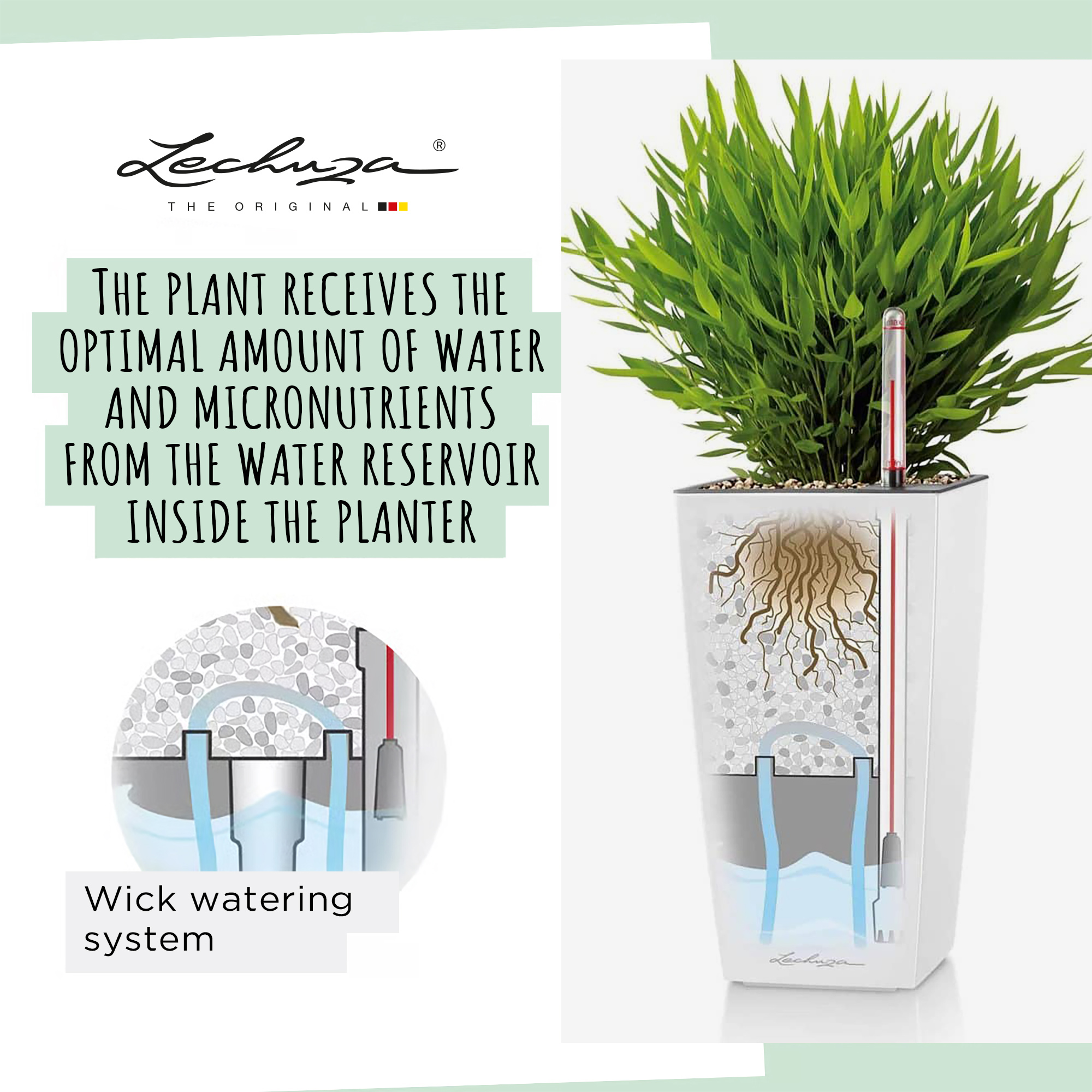 LECHUZA CUBI Square Poly Resin Indoor Self-watering Planter
