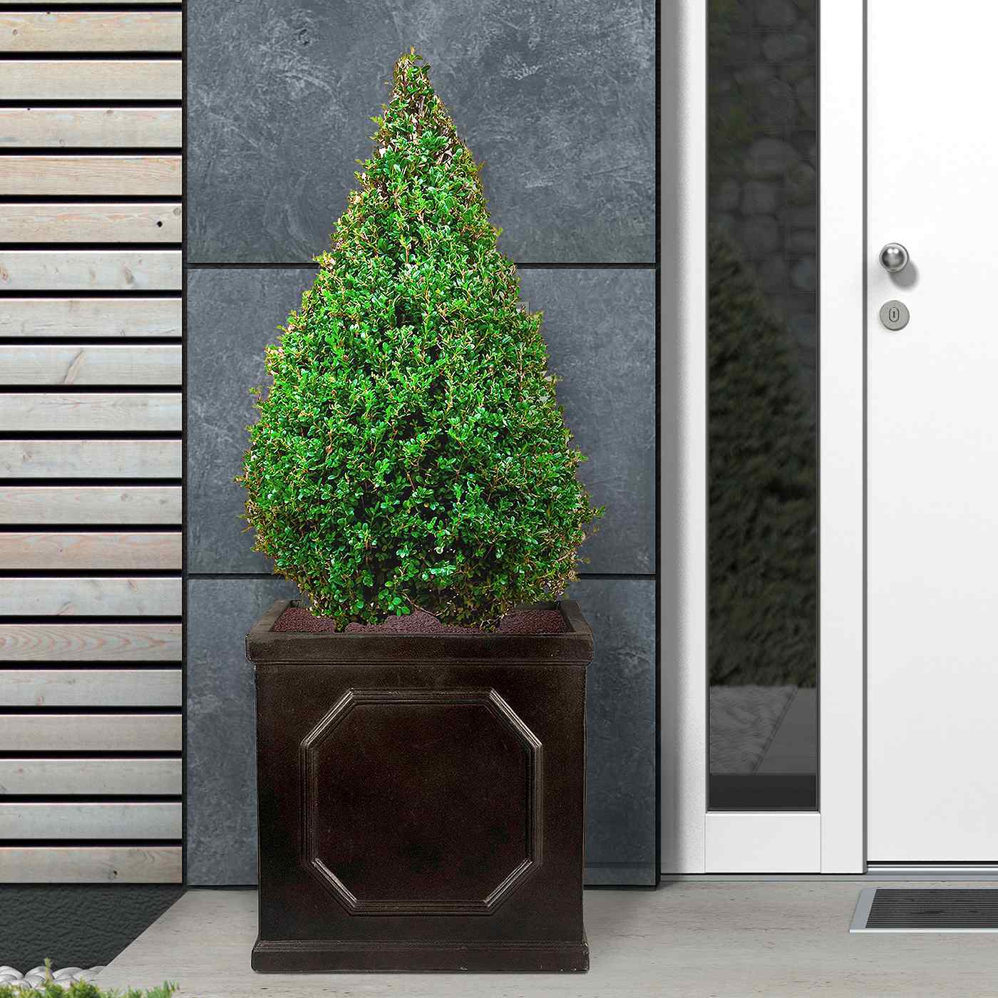 IDEALIST Lite Faux Lead Chelsea Box Square Light Concrete Planter