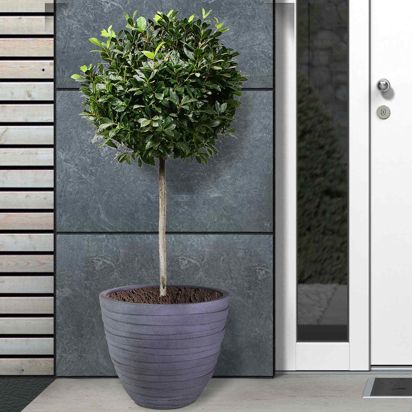 IDEALIST Lite Row Light Concrete Egg Planter