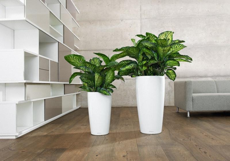 LECHUZA Rondo Round Tall Poly Resin Self-watering Planter