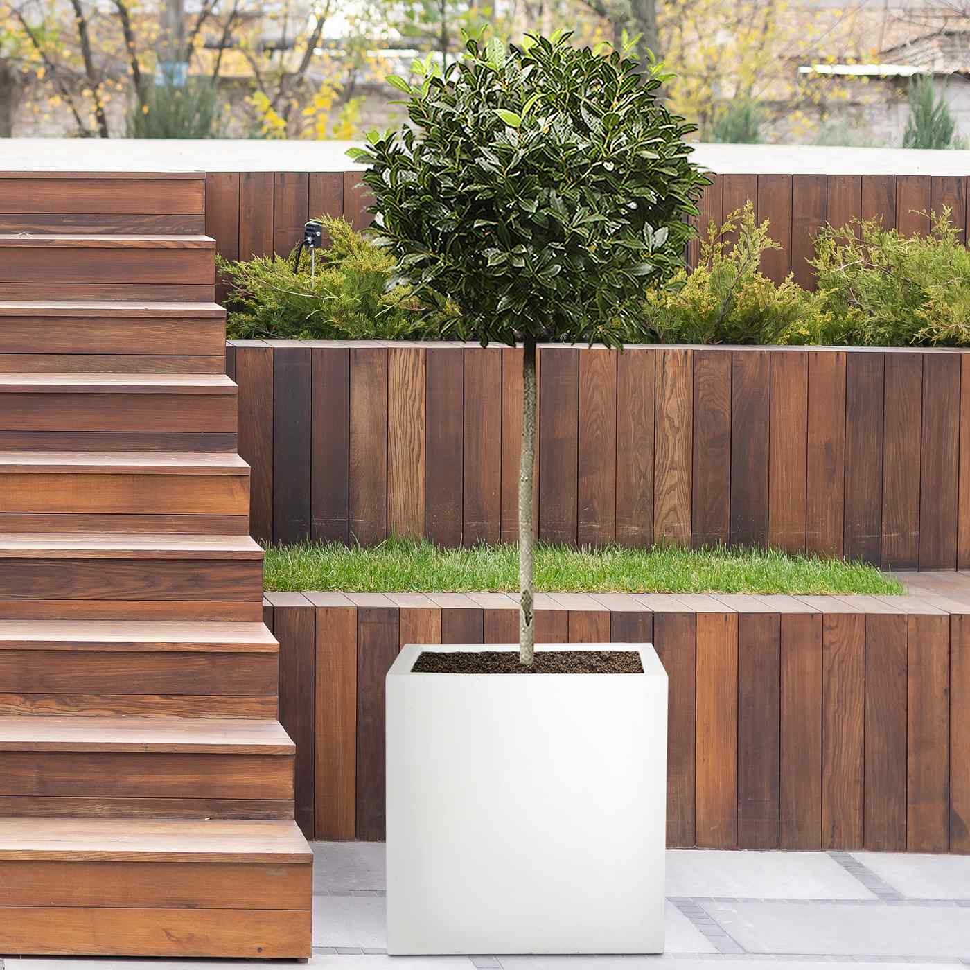 IDEALIST Lite Square Box Contemporary Light Concrete Planter