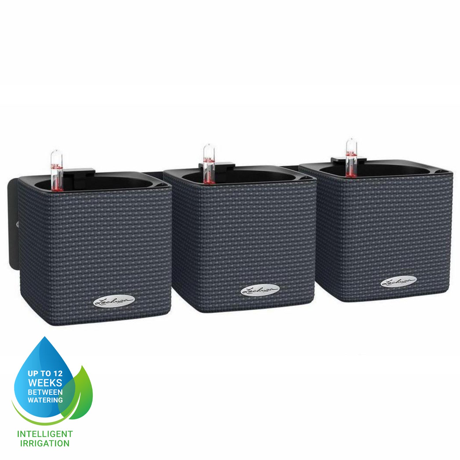 LECHUZA Green Wall Home Kit Color Indoor Self-watering Planter