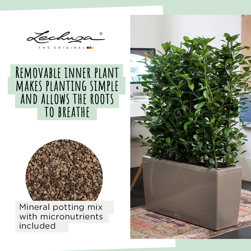 LECHUZA CARARO Trough Poly Resin Self-watering Planter