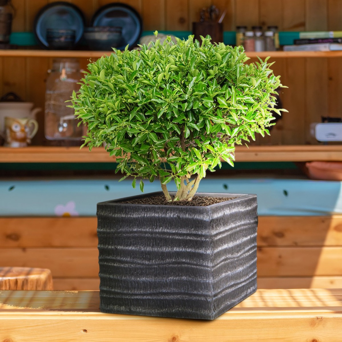 IDEALIST Lite Straw Ribbed Square Outdoor Planter