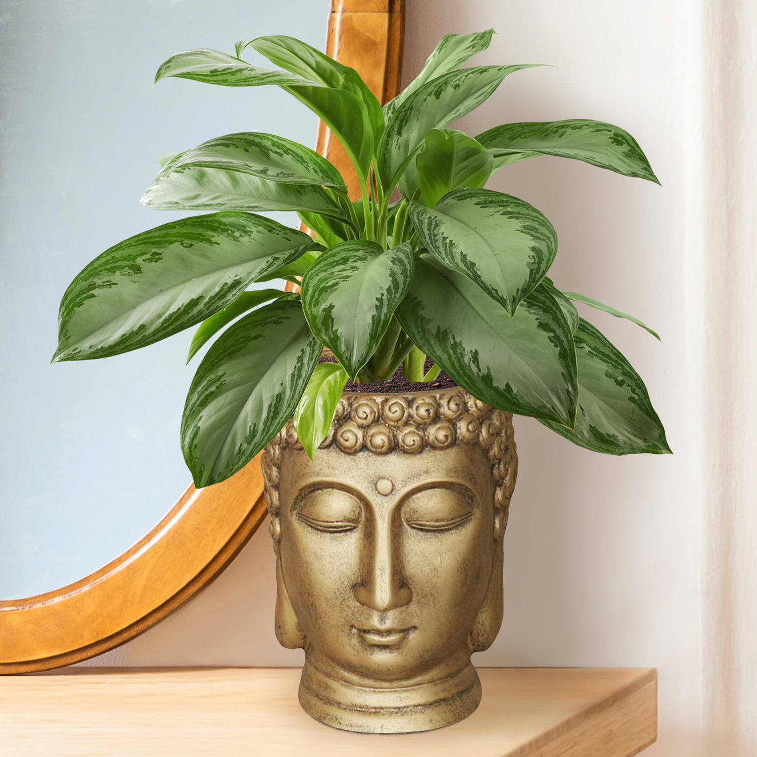 IDEALIST Lite Buddha Face Plant Pot Indoor