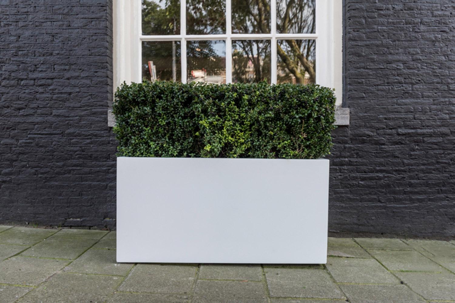 Raised Fiberstone Trough Planter by Idealist Premium JORT