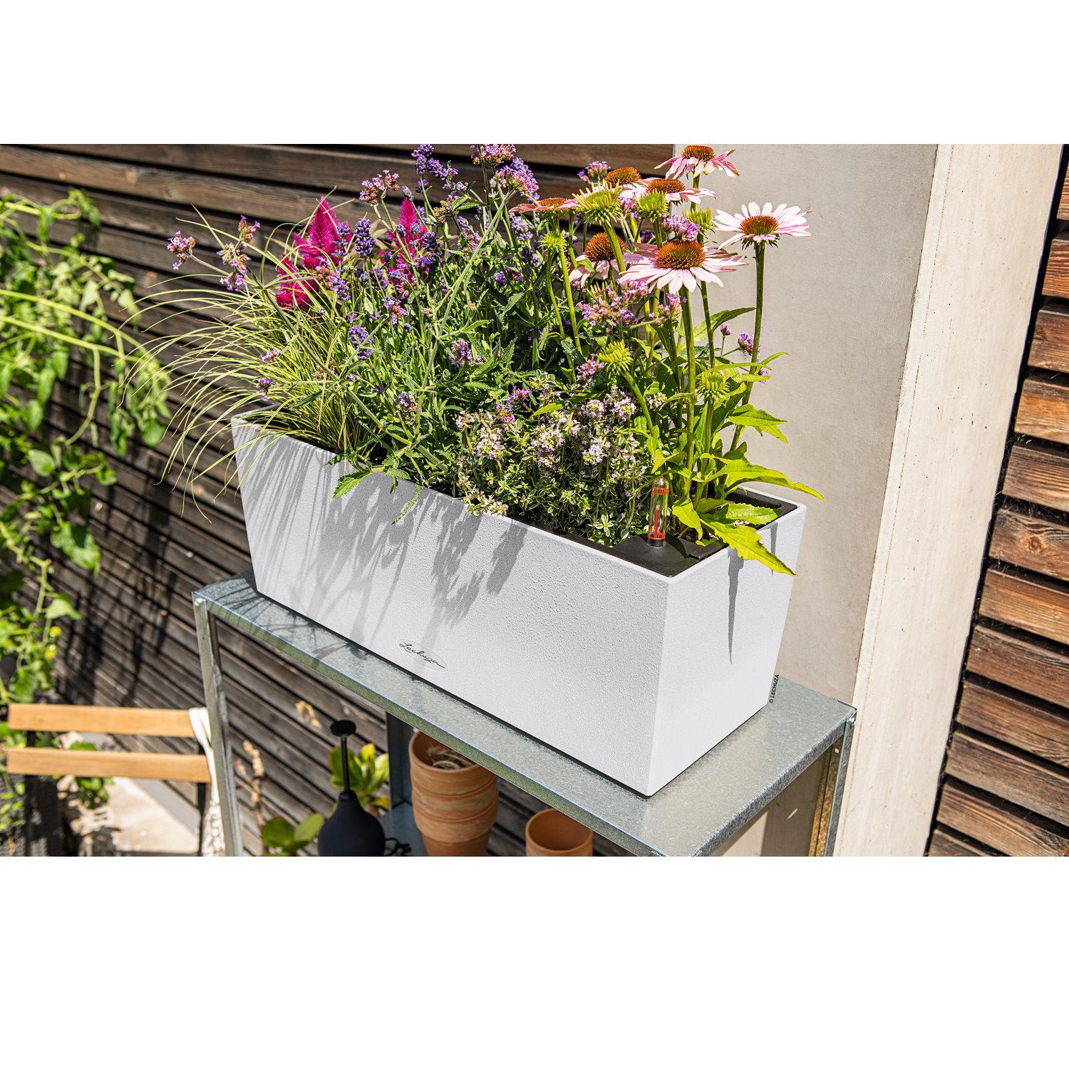 LECHUZA BALCONERA Color Trough Poly Resin Self-watering Planter