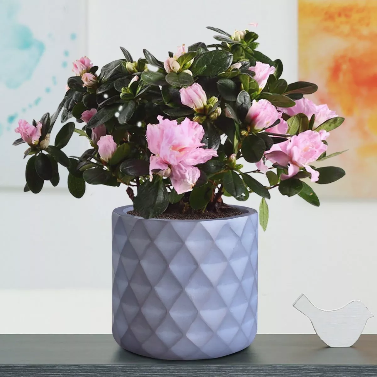 How to make planters on legs last longer: care and maintenance tips How to make planters on legs last longer: care and maintenance tips