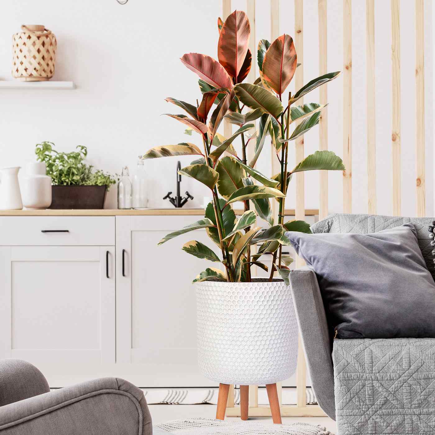 IDEALIST Lite Honeycomb Style Cylinder Planter on Legs, Round Pot Plant Stand Indoor