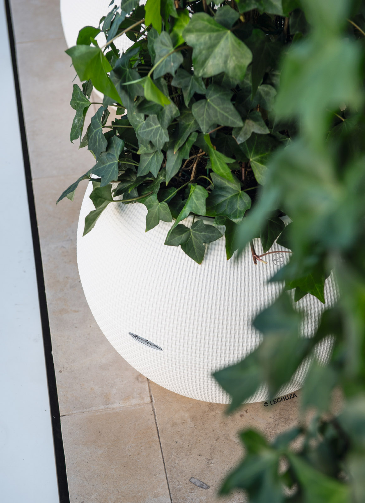 LECHUZA PURO Color Round Poly Resin Self-watering Planter
