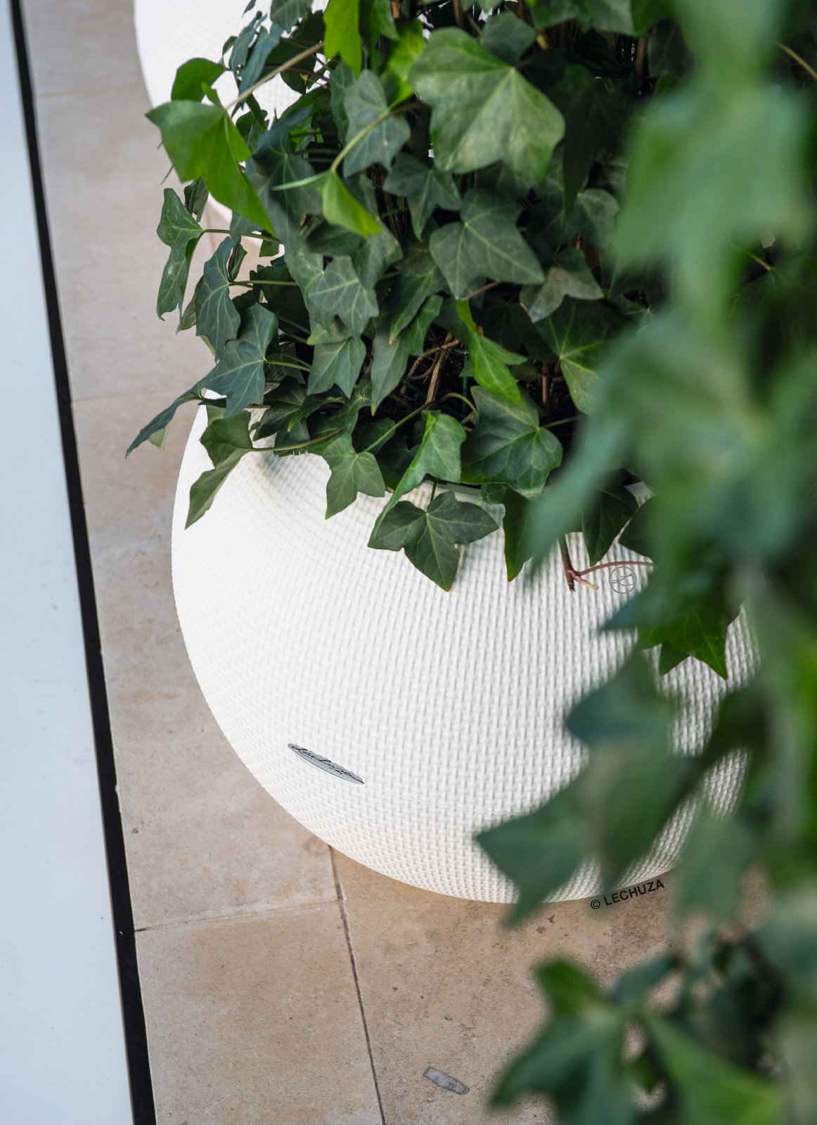 LECHUZA PURO Color Round Poly Resin Self-watering Planter