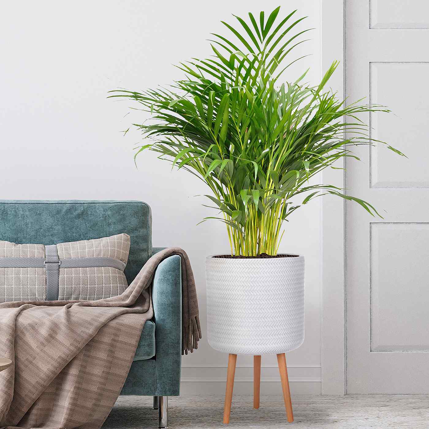 IDEALIST Lite Plaited Style Cylinder Planter on Legs, Round Pot Plant Stand Indoor