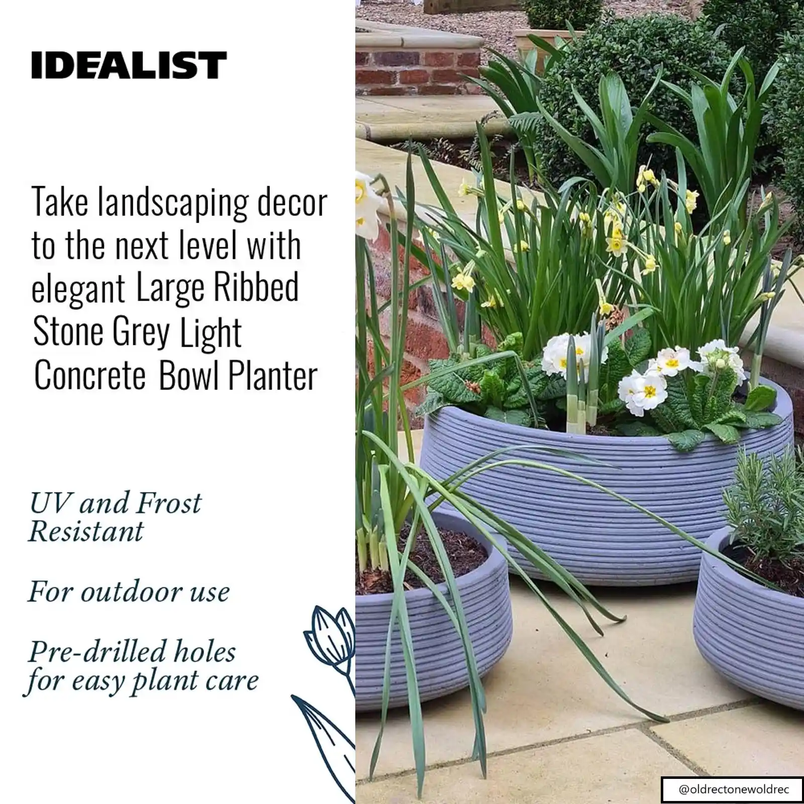 IDEALIST Lite Large Ribbed Light Concrete Bowl Planter