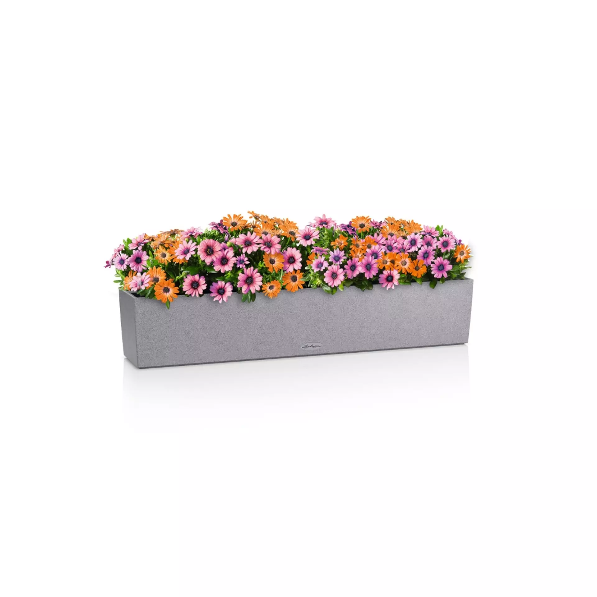 LECHUZA BALCONERA Stone Trough Poly Resin Self-watering Planter