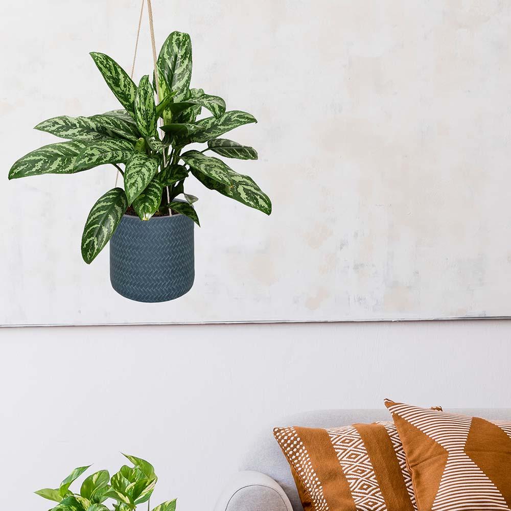 IDEALIST Lite Plaited Style Table and Hanging Cylinder Round Plant Pot Dual Use Indoor Planter