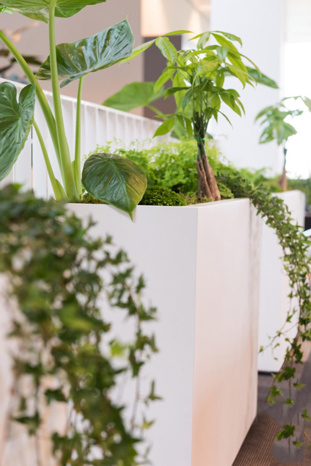 Fibrestone Jort Rectangle Planter by Idealist Premium