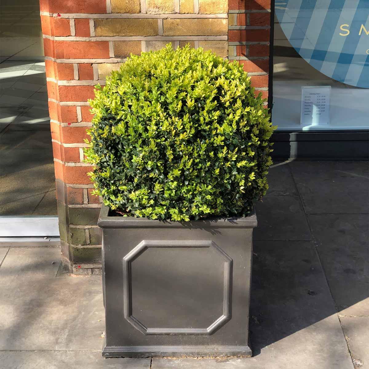 IDEALIST Lite Faux Lead Chelsea Box Square Light Concrete Planter