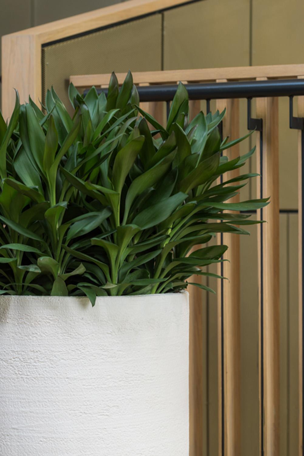 Fibrestone Max Round Planter by Idealist Premium