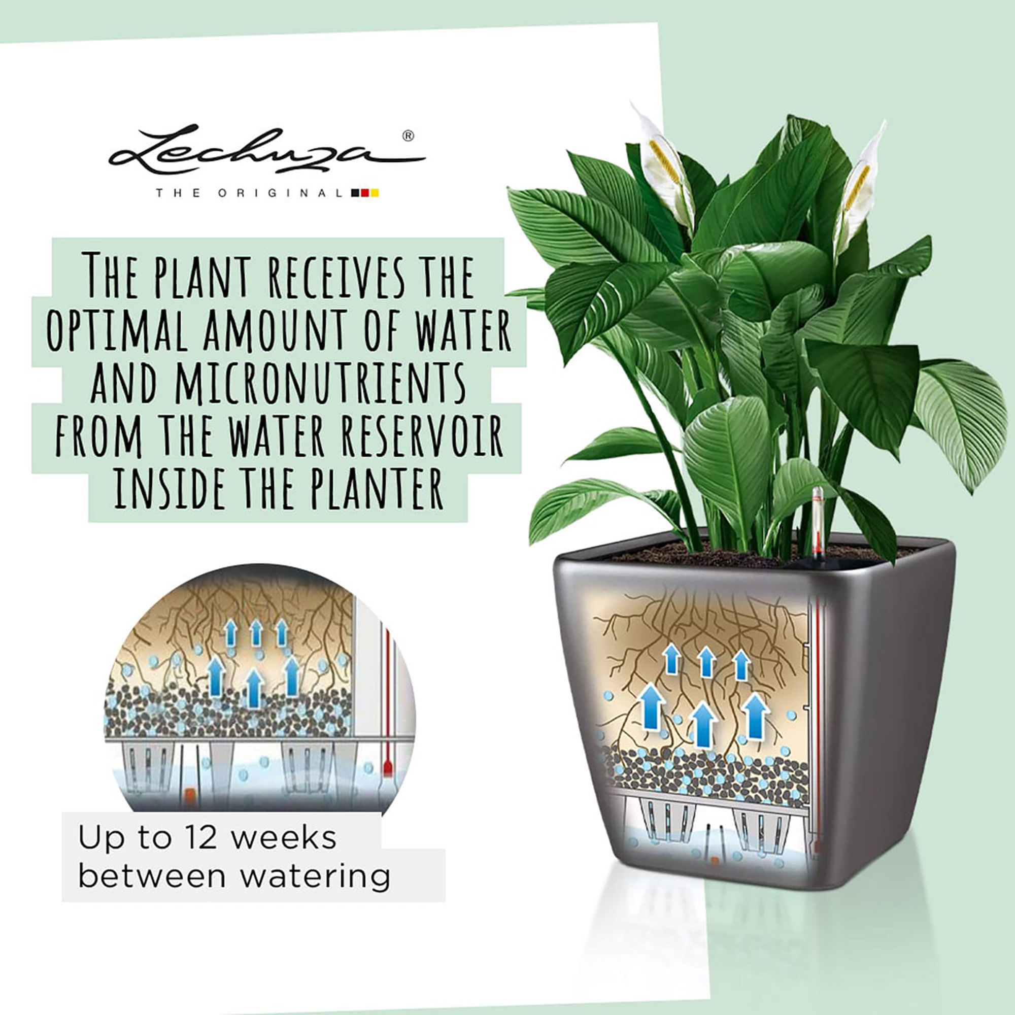 LECHUZA Quadro LS Square Poly Resin Self-watering Planter
