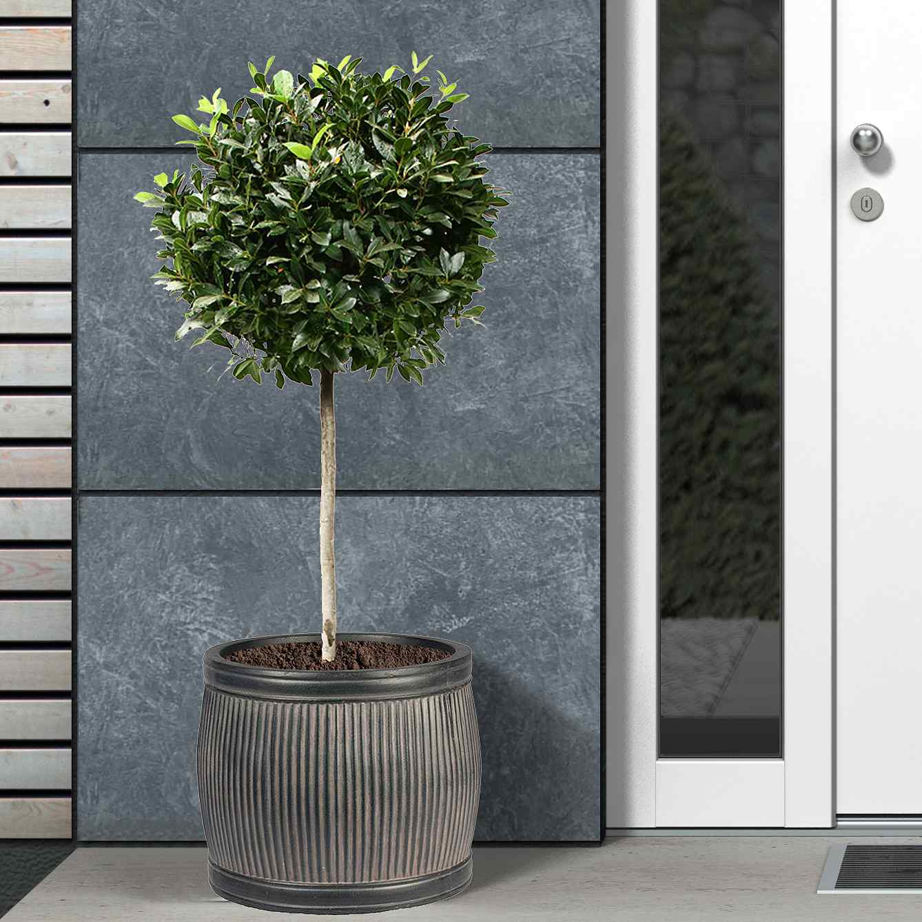 IDEALIST Lite Vertical Ribbed Vintage Style Barrel Round Planter