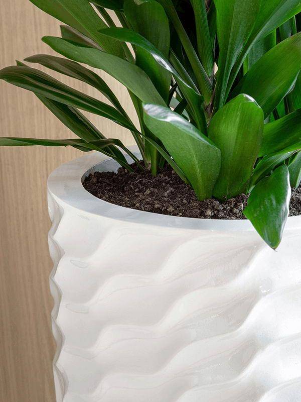 Luxe Lite Glossy Breaker Tall White Large D36 H60 cm Indoor