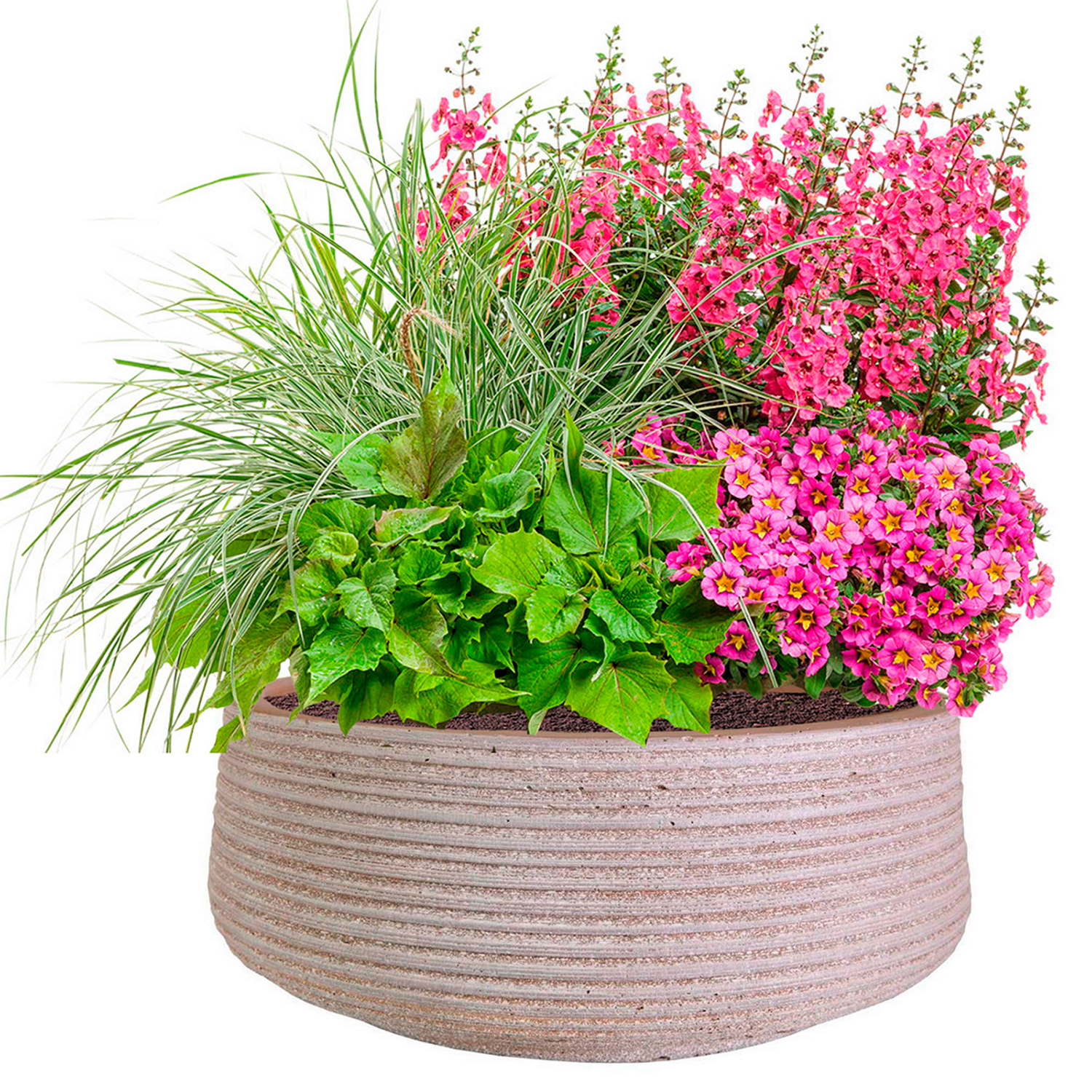 IDEALIST Lite Large Ribbed Light Concrete Bowl Planter