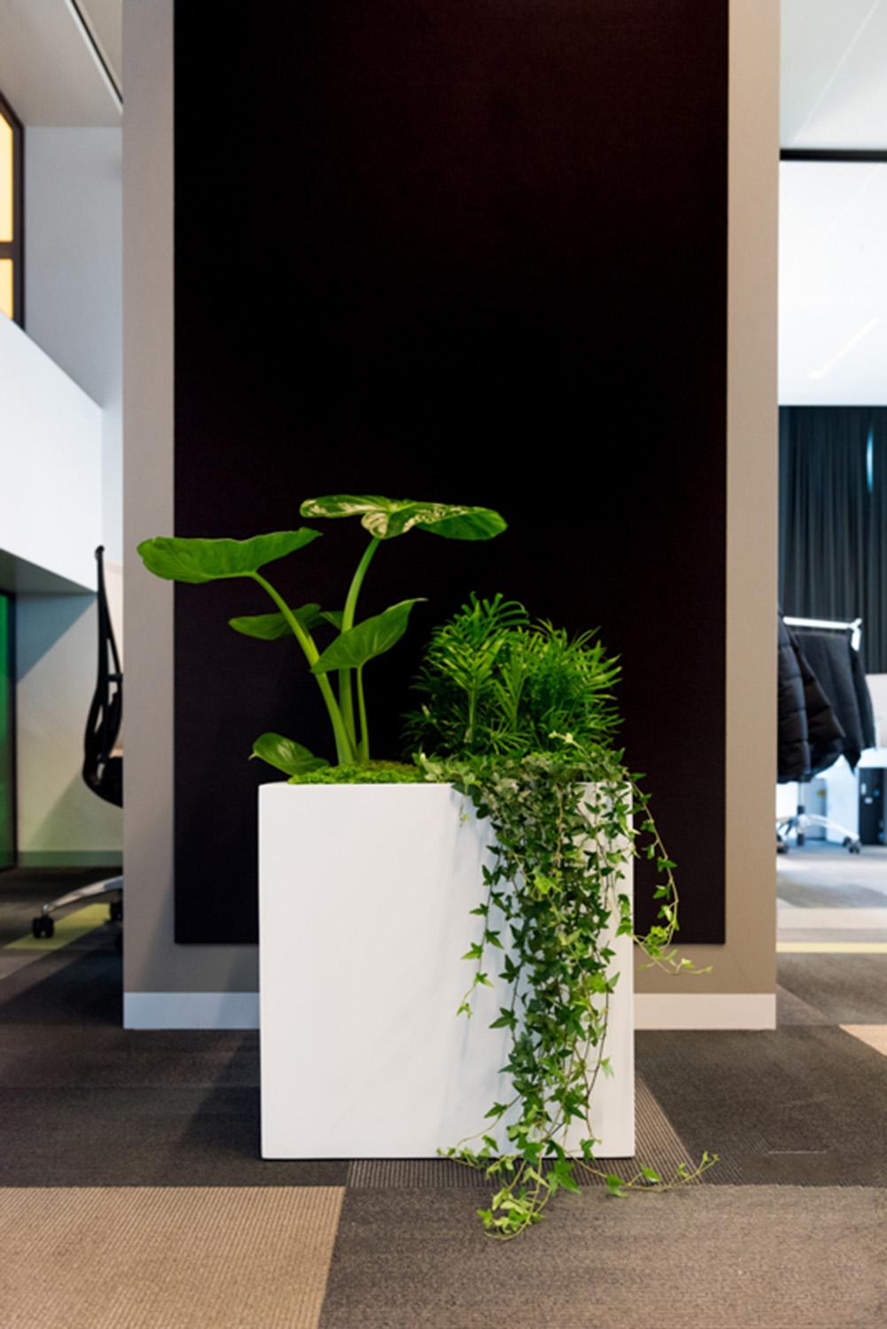 Square Fiberstone Planter by Idealist Premium JUMBO