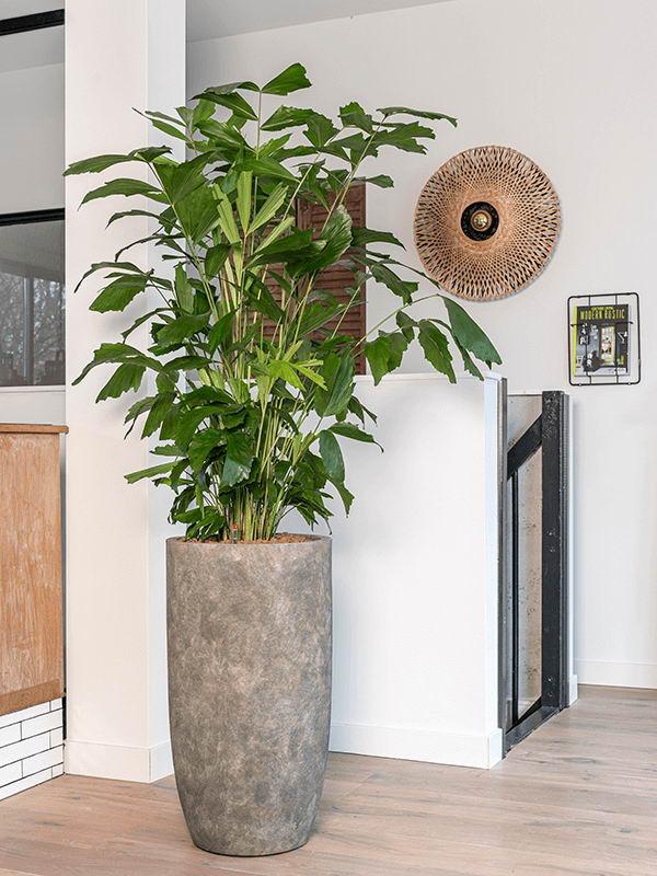 Luxe Lite Stone Luna Tall Indoor Planter