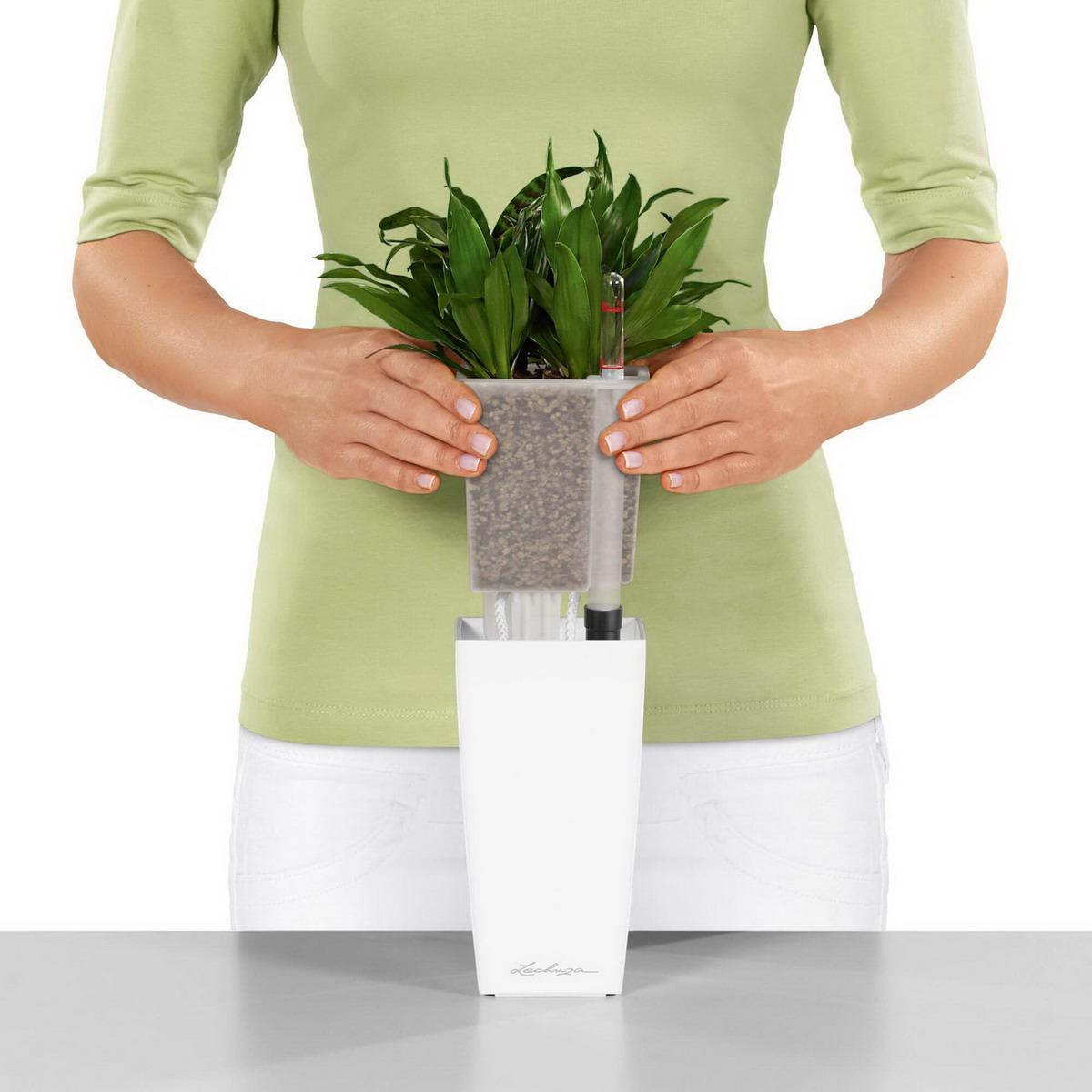 LECHUZA CUBI Square Poly Resin Indoor Self-watering Planter