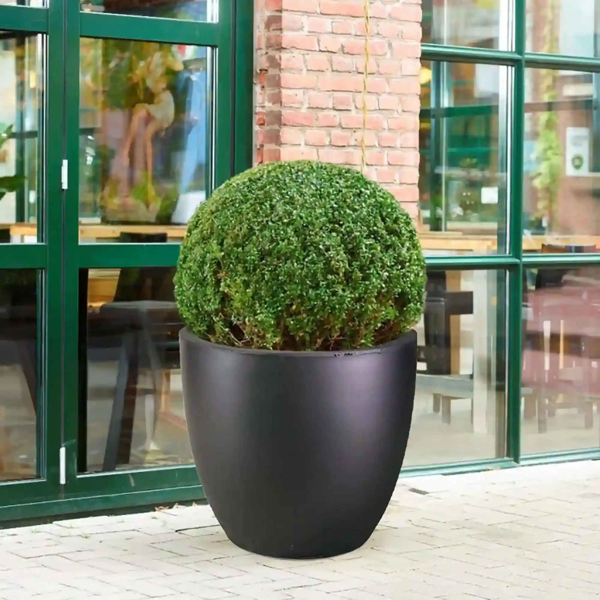 IDEALIST Lite Contemporary Light Concrete Egg Planter