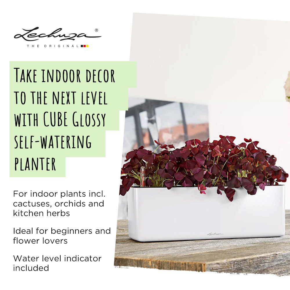 LECHUZA CUBE Glossy Triple Trough Poly Resin Self-watering Planter