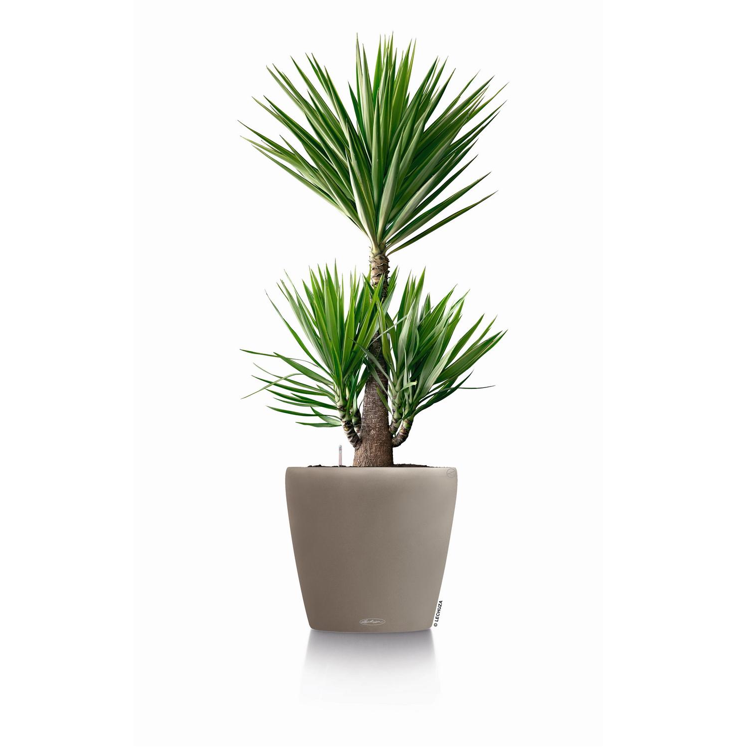 LECHUZA CLASSICO Color Round Poly Resin Self-watering Planter