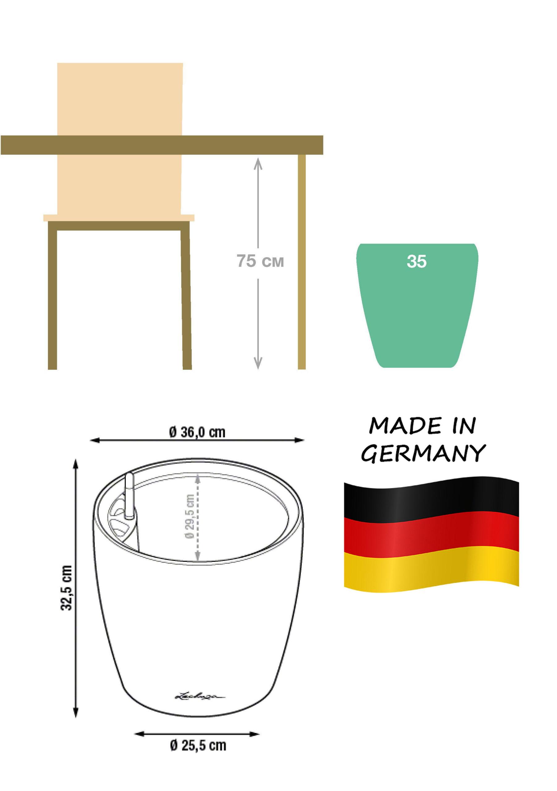 Dracaena Fragrans Compacta in LECHUZA CLASSICO LS Self-watering Planter, Total Height 105 cm