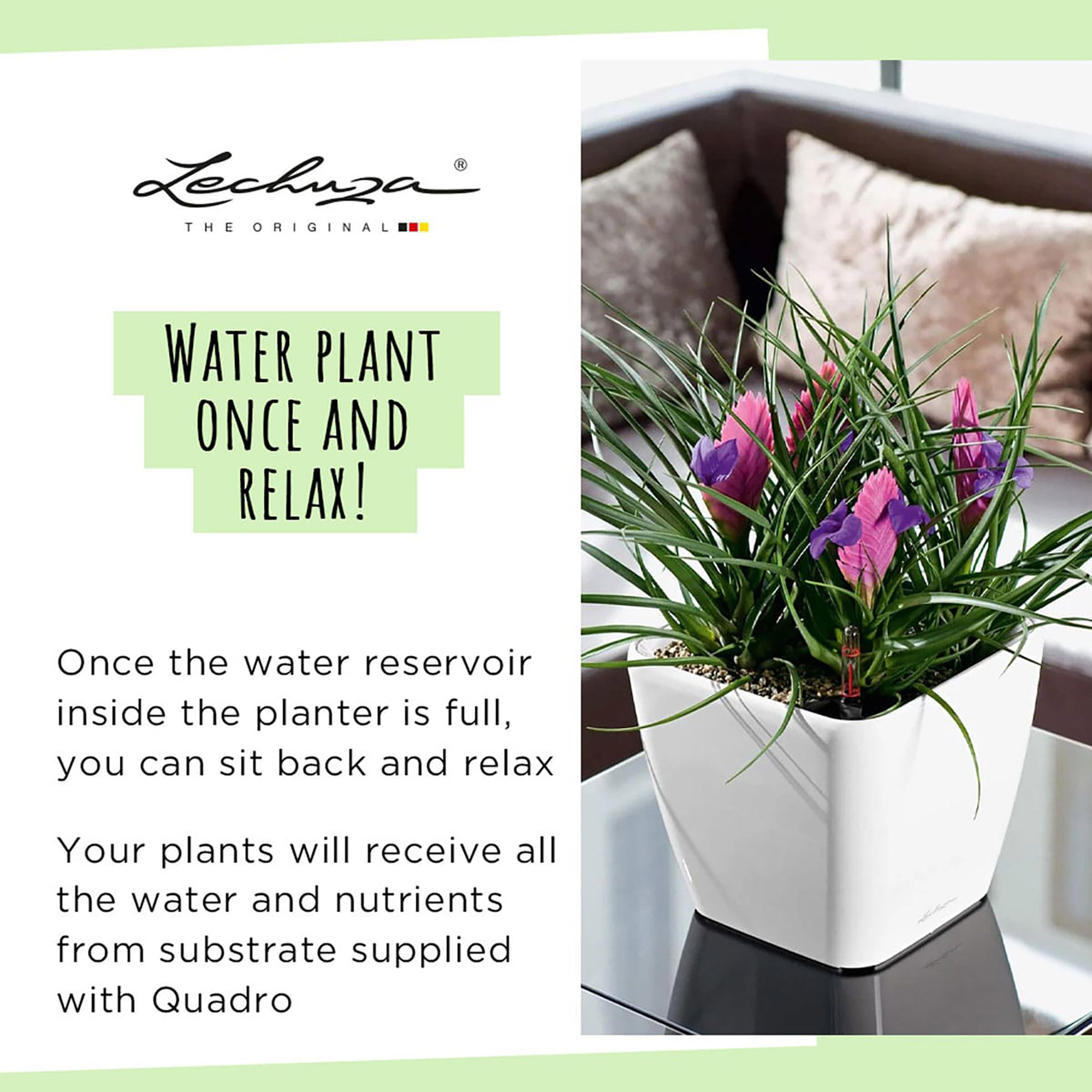 LECHUZA Quadro LS Square Poly Resin Self-watering Planter