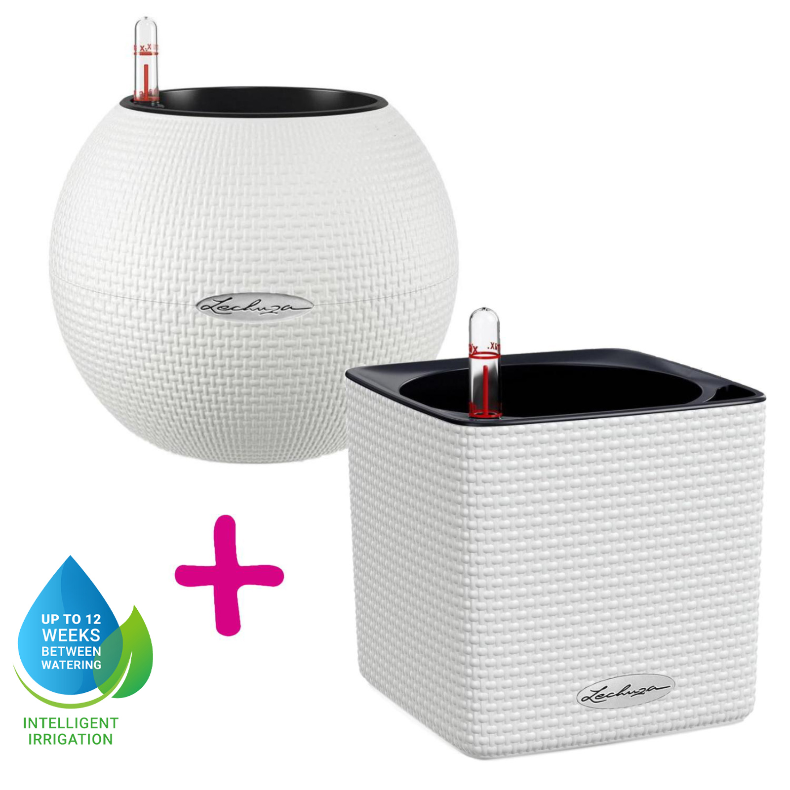 LECHUZA CUBE Color Square Poly Resin Indoor Self-watering Planter Set