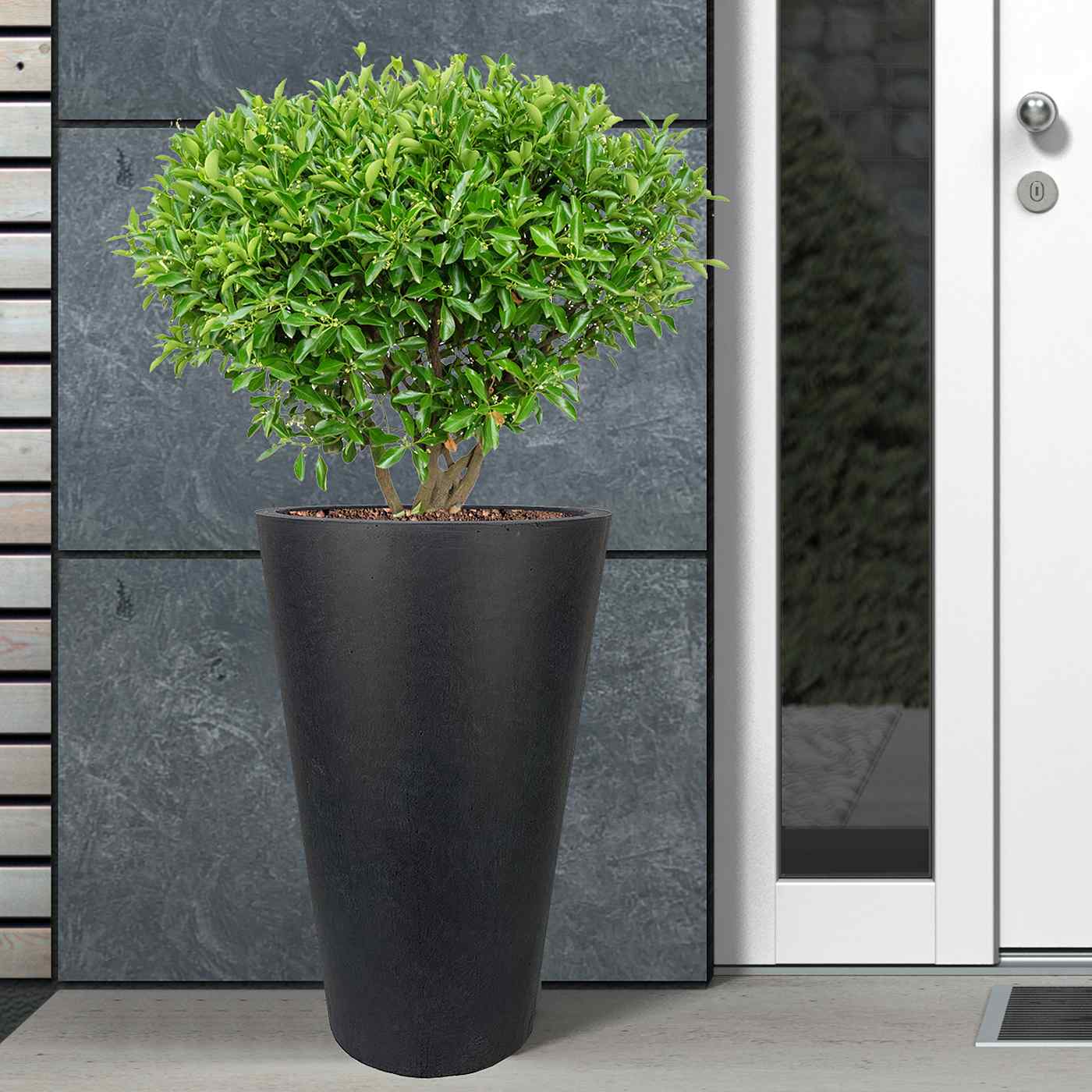 IDEALIST Lite Contemporary Round Light Concrete Planter