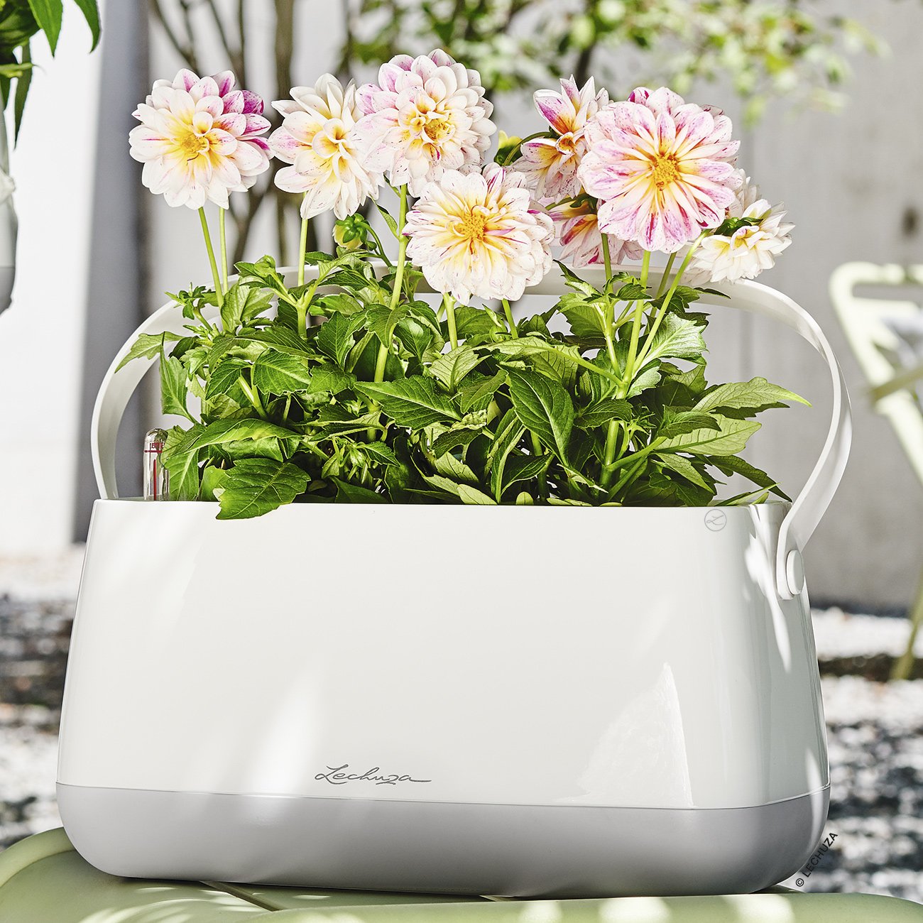 LECHUZA YULA Plant Bag Trough Poly Resin Indoor Self-watering Planter