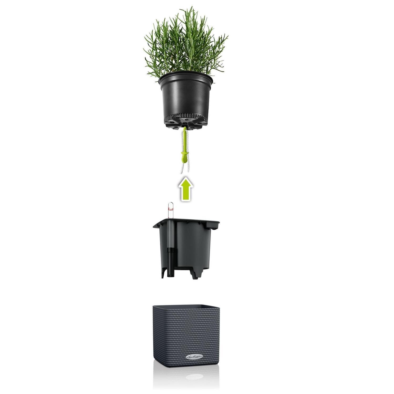 LECHUZA CUBE Color Square Poly Resin Indoor Self-watering Planter Set