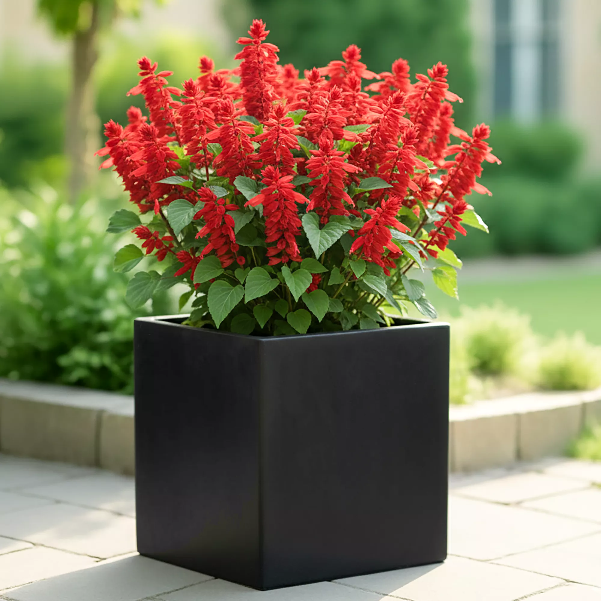 Square Fiberstone Planter by Idealist Premium