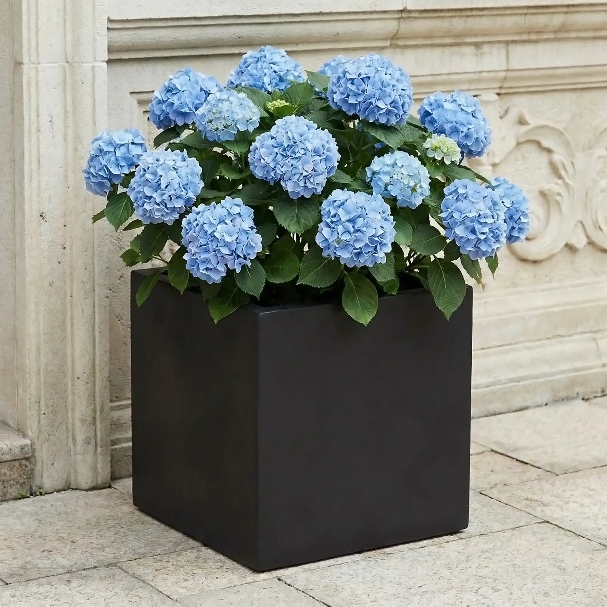 IDEALIST Lite Square Box Contemporary Light Concrete Planter