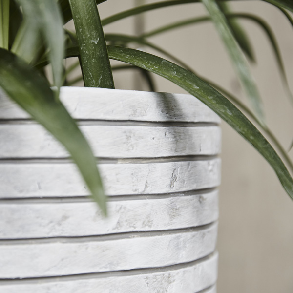 Round Egg Resin Planter by Cadix Capi Tutch Row
