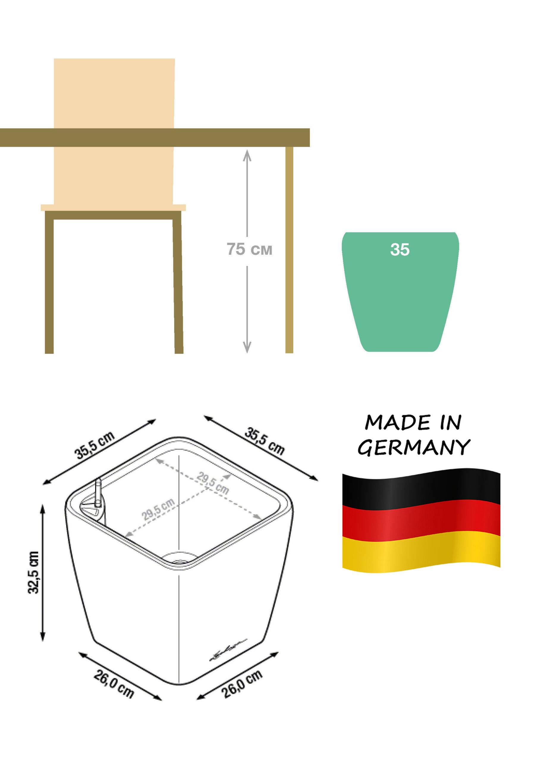 Dracaena Fragrans Janet Greig in LECHUZA QUADRO LS Self-watering Planter, Total Height 130 cm