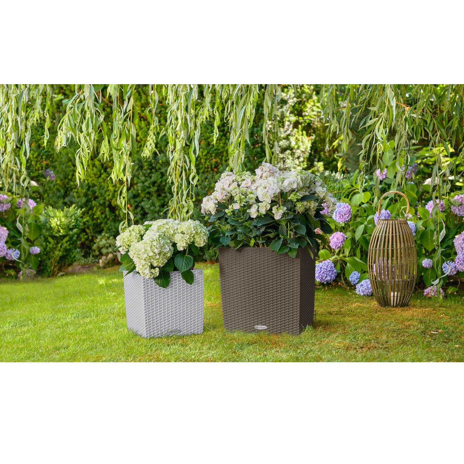 LECHUZA CUBE Cottage Square Poly Resin Self-watering Planter