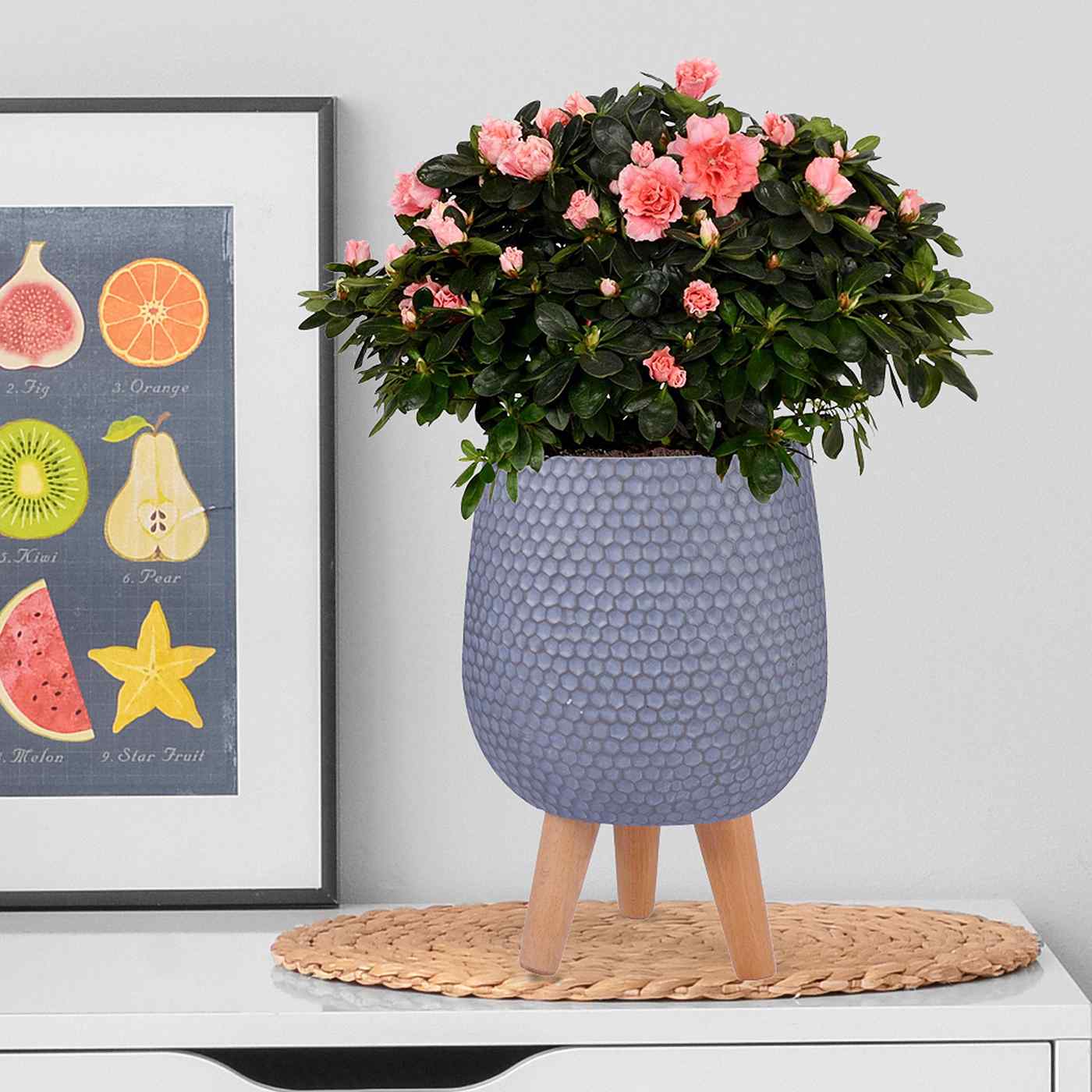 IDEALIST Lite Honeycomb Style Egg Planter on Legs, Round Pot Plant Stand Indoor