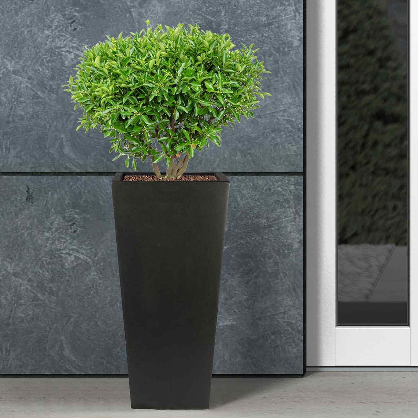 IDEALIST Lite Tall Tapered Contemporary Light Concrete Planter