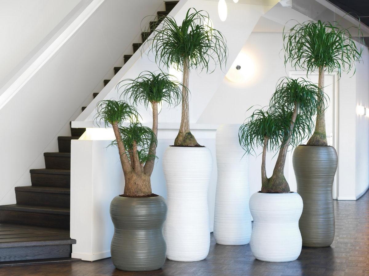 Harmony Round Tall Polystone Indoor Planter