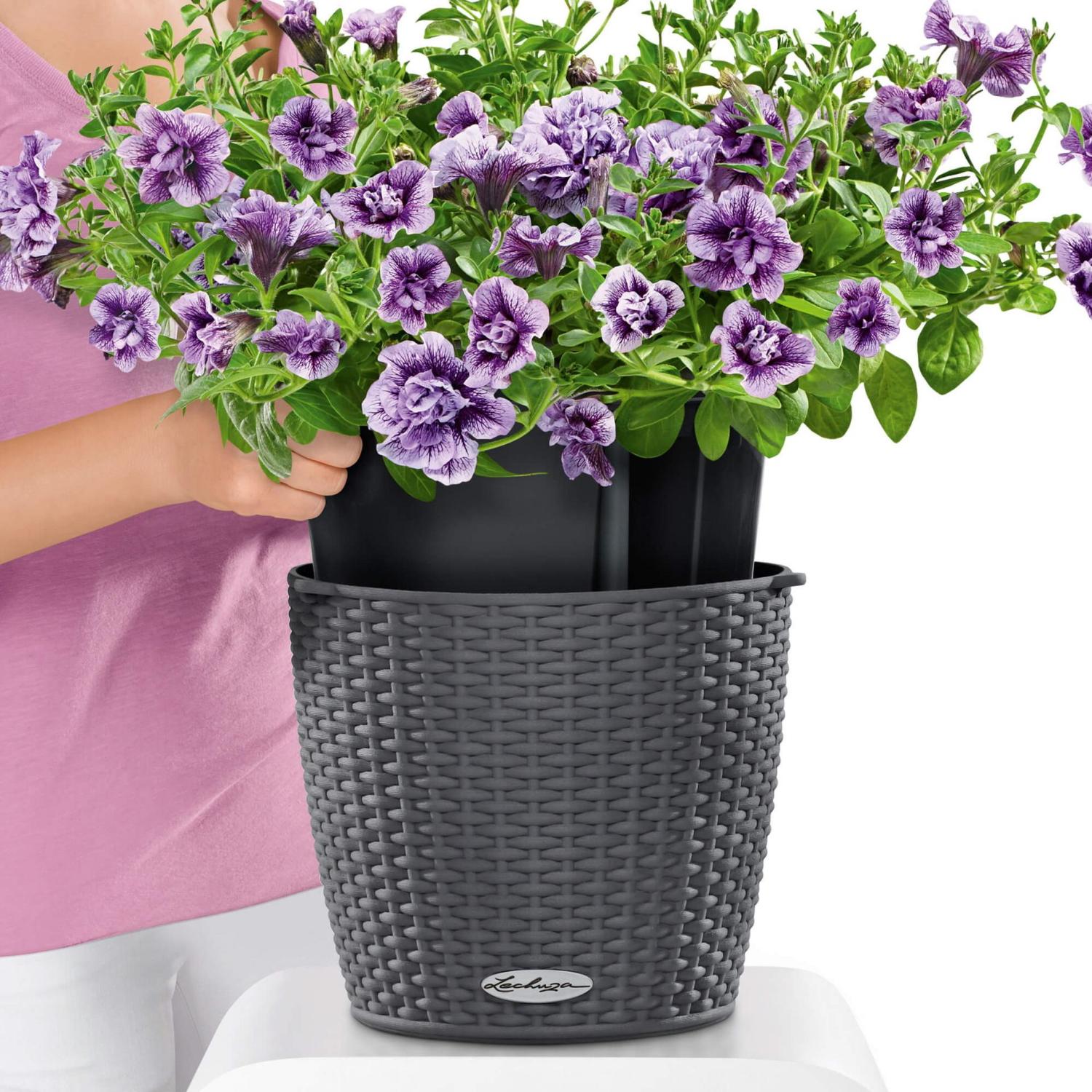LECHUZA NIDO Cottage Round Poly Resin Outdoor Self-watering Planter