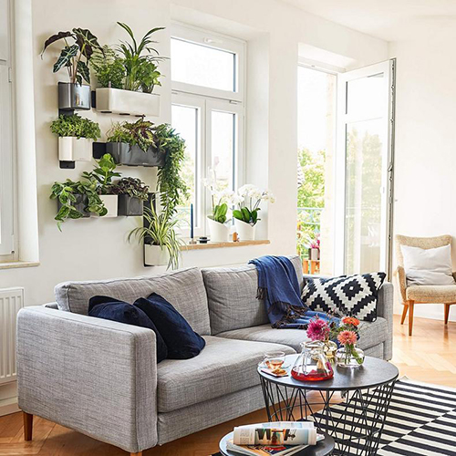 Avoid these Common Mistakes when Caring for Your Indoor Houseplant