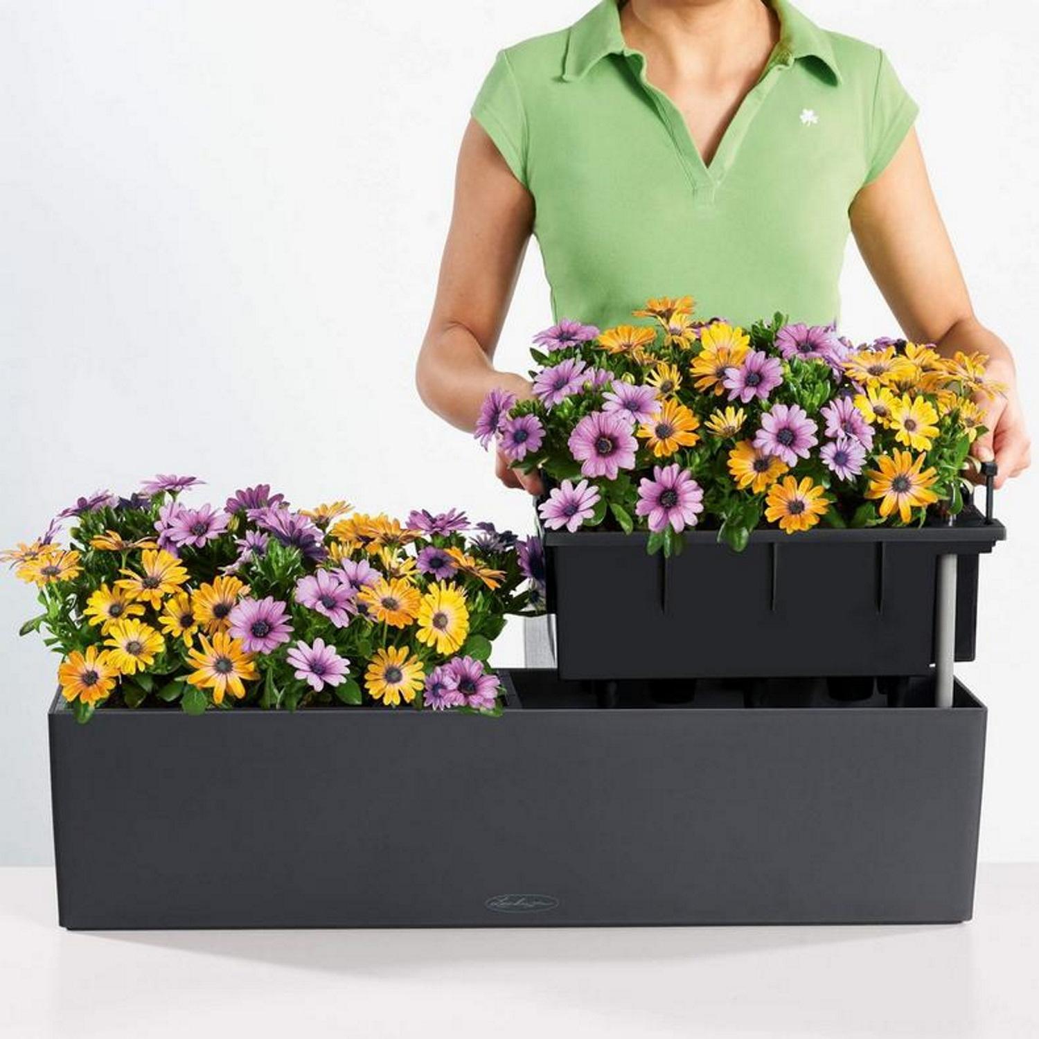 LECHUZA BALCONERA Color Trough Poly Resin Self-watering Planter Set