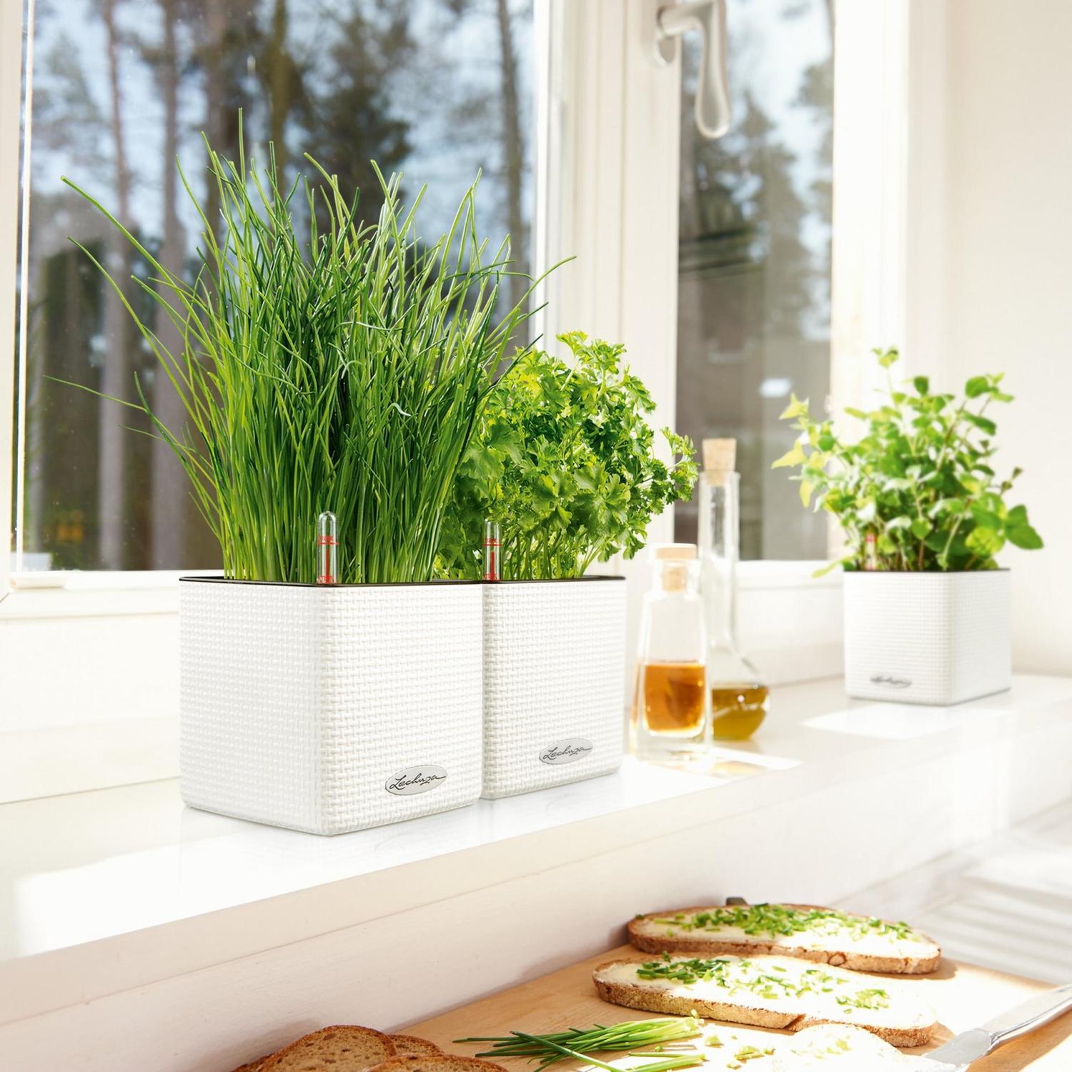 LECHUZA CUBE Color Square Poly Resin Indoor Self-watering Planter